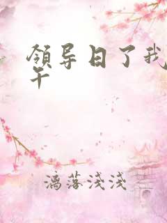 领导日了我一下午