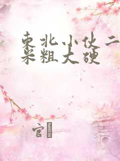 东北小伙二十厘米粗大硬