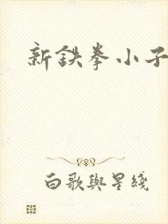 新铁拳小子