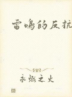 雷鸣的反抗者