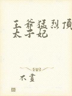 王爷猛烈顶弄H太子妃