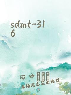 sdmt-316