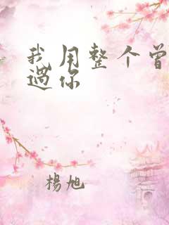 我用整个曾经爱过你