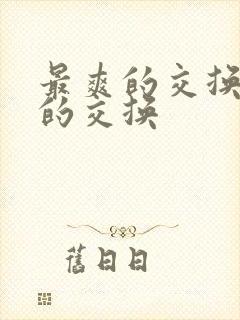 最爽的交换疯狂的交换