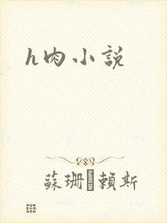 h肉小说