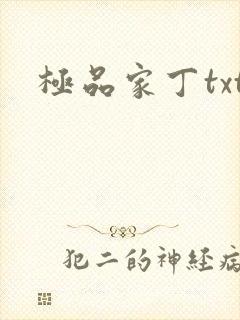 极品家丁txt