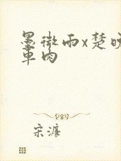 墨微雨x楚晚宁车肉