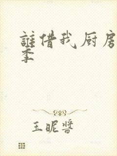 谁借我厨房第三季