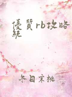 优质rb攻略系统