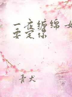 一夜缠绵 女人要定你