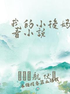 我的小后妈免费看小说