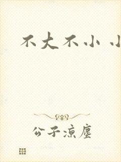 不大不小 小说