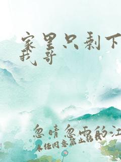 家里只剩下我和我哥