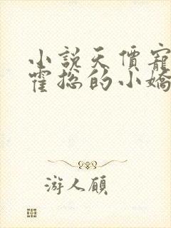 小说天价宠妻:霍总的小娇妻