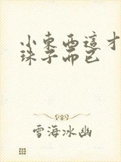 小东西这才一颗珠子而已