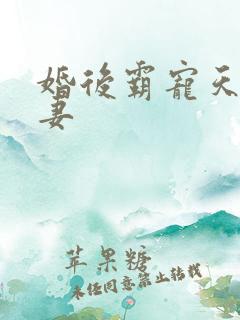 婚后霸宠天价小妻