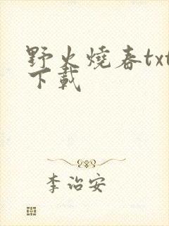 野火烧春txt下载