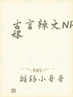 古言辣文NP乳娘