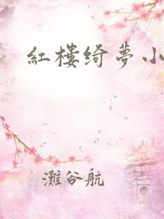 红楼绮梦小说