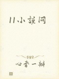 11小说网