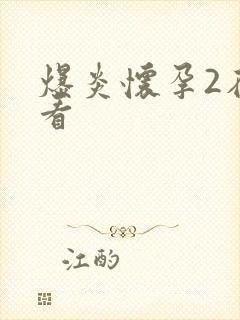 爆炎怀孕2在线看