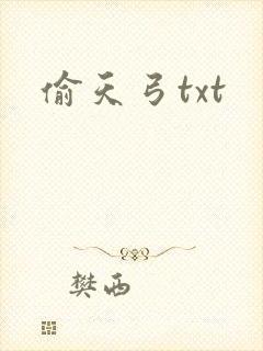 偷天弓txt