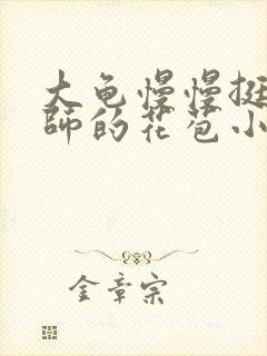 大龟慢慢挺进老师的花苞小说