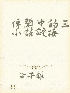 传闻中的三公主小说链接