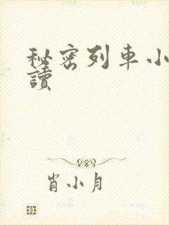 秘密列车小说阅读