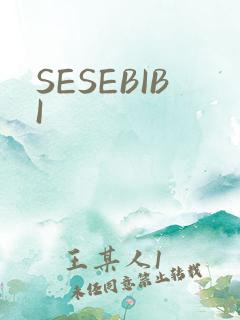 SESEBIBI