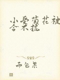 小受菊花被双龙合不拢