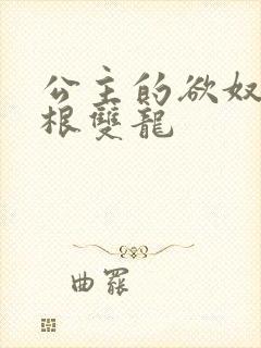 公主的欲奴h四根双龙