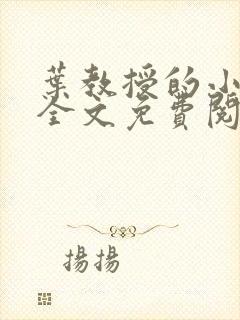 叶教授的小黏糖全文免费阅读