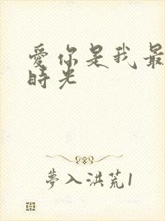 爱你是我最好的时光