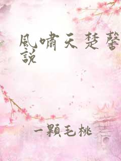 风啸天楚馨月小说