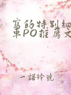 写的特别细的开车PO推荐文