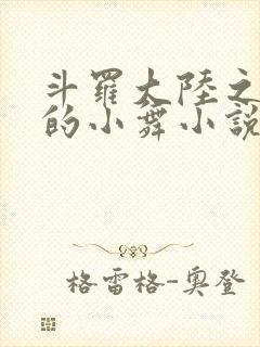 斗罗大陆之Y荡的小舞小说
