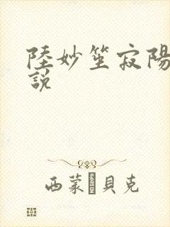 陆妙笙寂阳朔小说