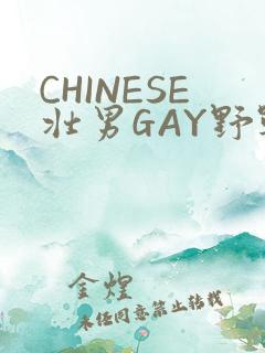 CHINESE壮男GAY野战强迫TUBE