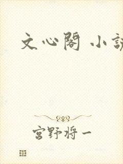 文心阁 小说