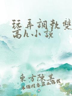 玩弄调教双胞胎高h小说