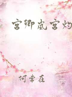 宫卿岚宫灼小说