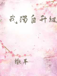 我独自升级小说