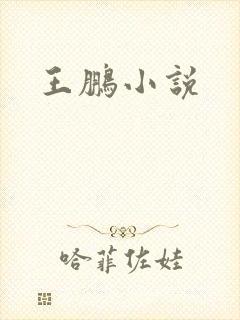 王鹏小说