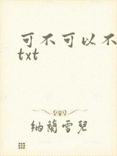 可不可以不嫁人txt