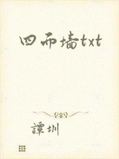 四面墙txt