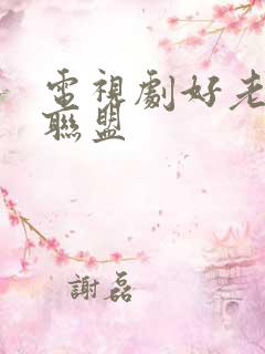 电视剧好老婆大联盟