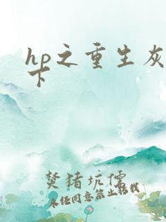 hp之重生灰猊下