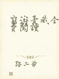 穷游青藏全文免费阅读