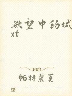 欲望中的城市txt